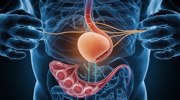 Abdominal aortic aneurysm cross-section medical visualization