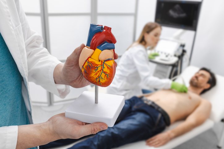 A clinician explains a heart model while a patient waits for an ultrasound