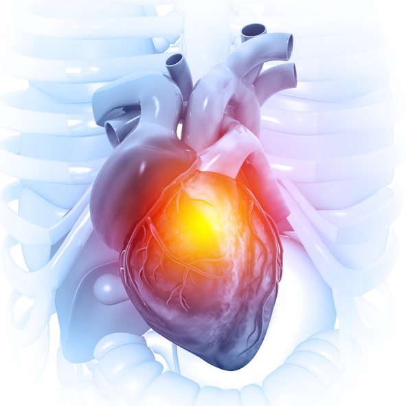 An echocardiogram of the heart on the ultrasound screen