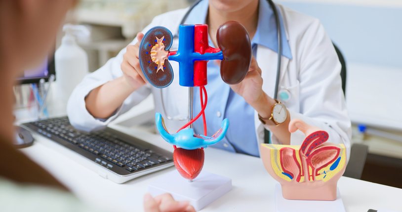 A kidney artery ultrasound
